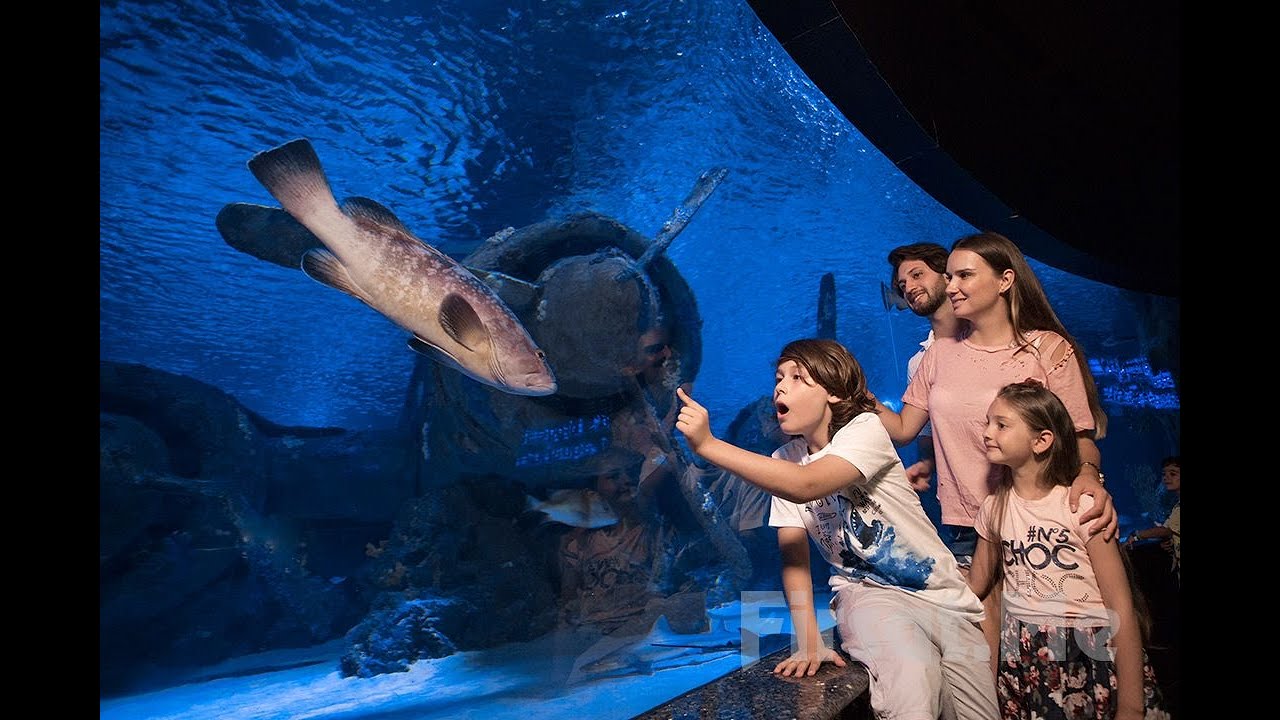 Akvaryum ve Balmumu Müzesi