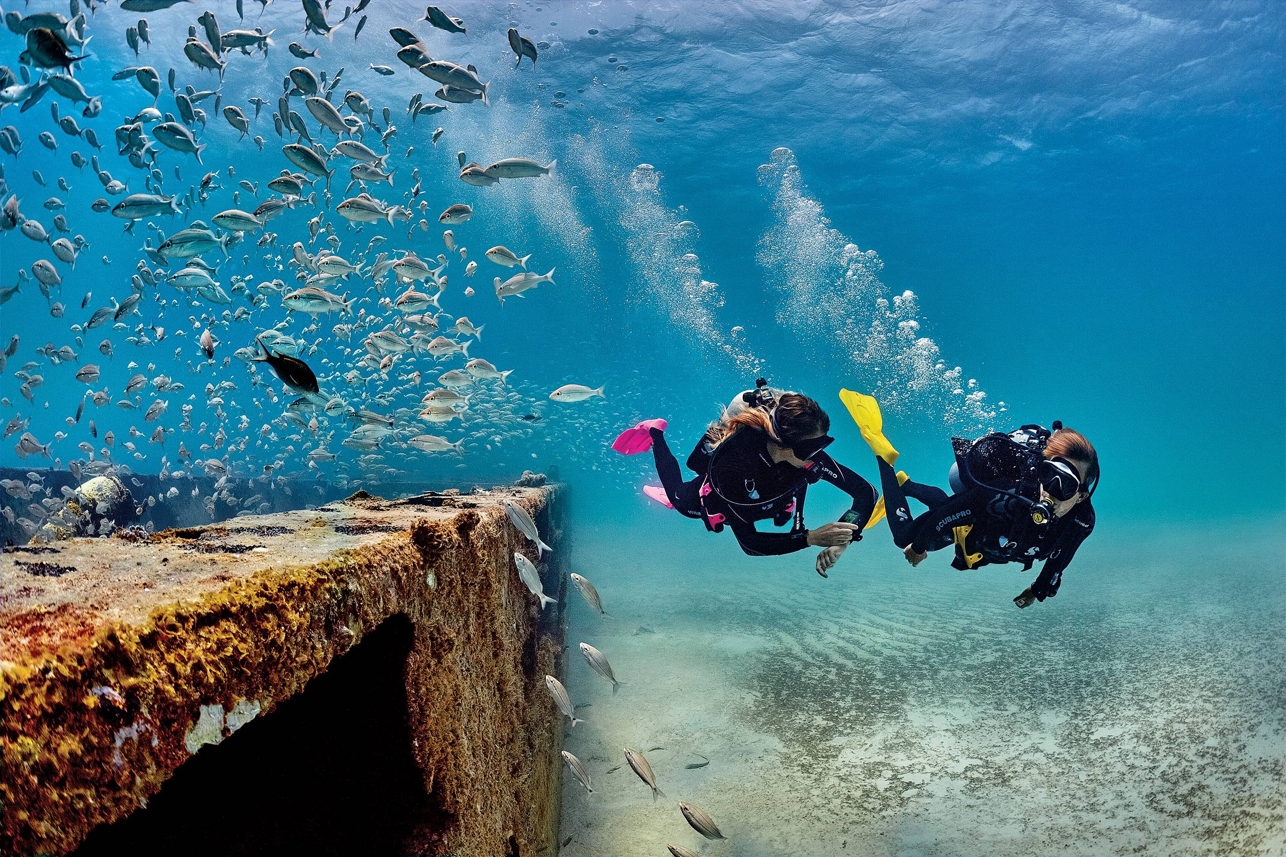 Kemer : Öğle Yemeği ile Tüplü Dalış Turu
