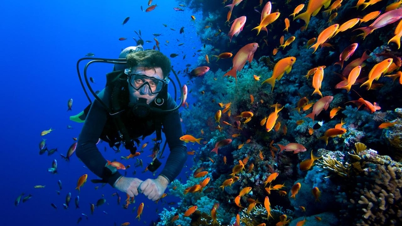 Alanya : Öğle Yemeği ile Tüplü Dalış Turu