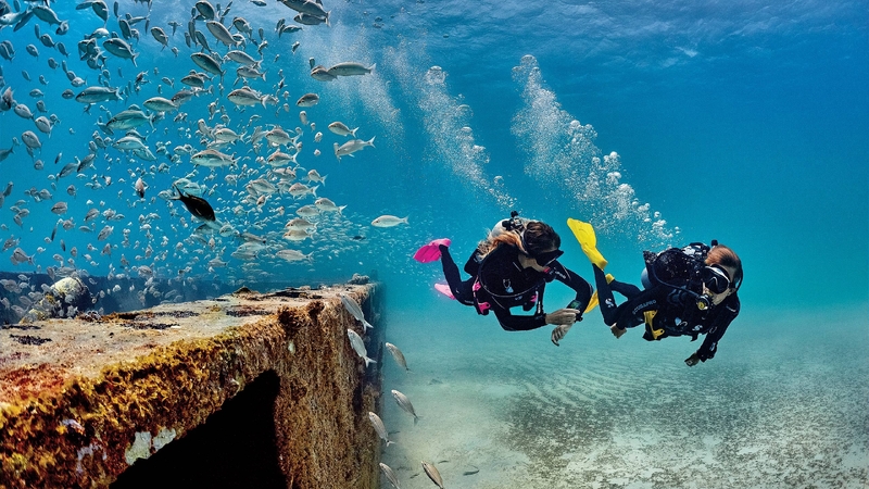 Alanya : Öğle Yemeği ile Tüplü Dalış Turu
