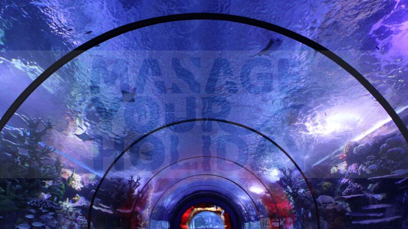 Entrance Ticket for Antalya Aquarium and Wax Museum