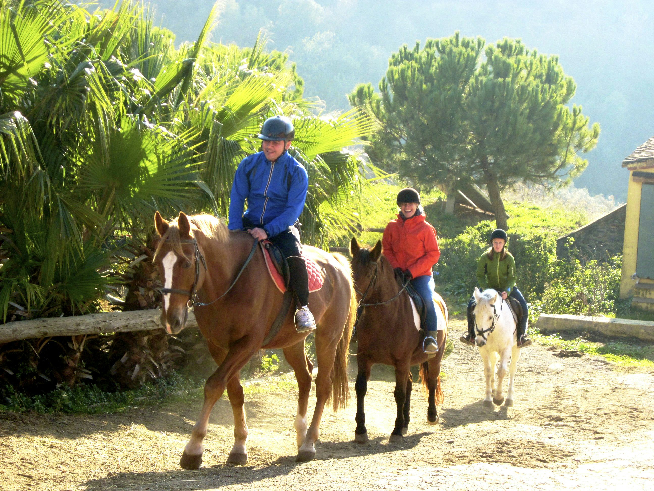 Kemer : 2 Saatlik At Binme Turu