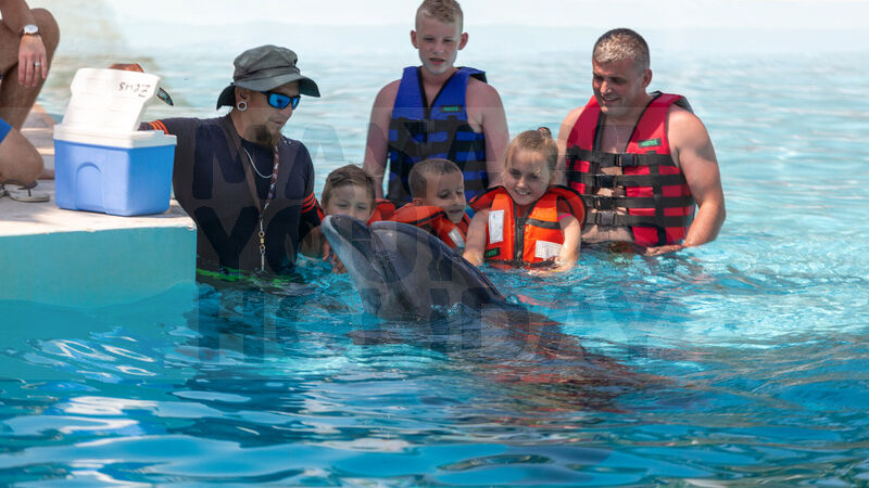 Alanya : Sealanya Seepark & Yunus Gösterisi - Sadece Bilet
